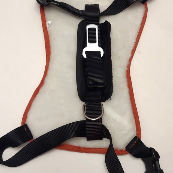 Pet Dog Bundle of 12 Items - Picture 6 of 14